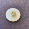 Montauk Surfcasters Association Pin